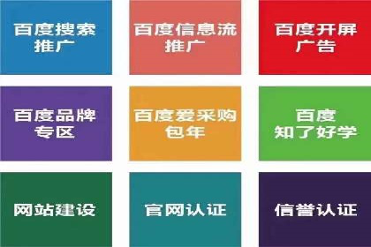 SEM优化师成功案例：助力企业实现品牌升级